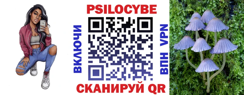 купить  сайты  Терек  Псилоцибиновые грибы Cubensis 